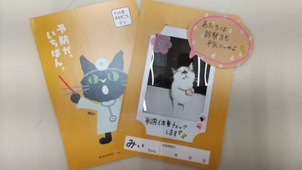 猫も動物病院プロジェクト☆