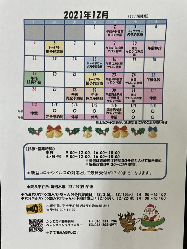 12月休診日のお知らせ☆（12/10更新）