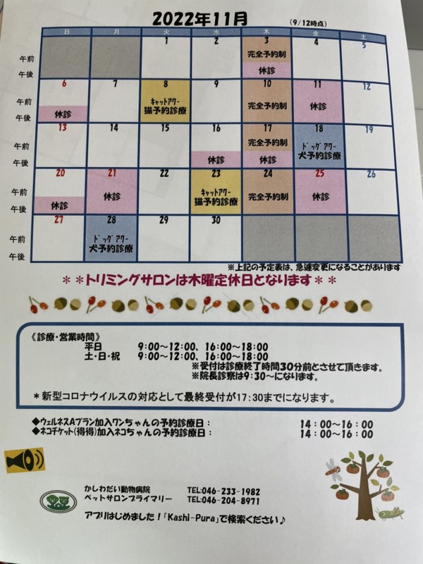 11月休診日のお知らせ☆（10/25更新）