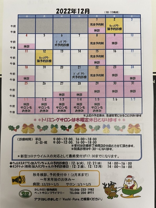 12月～年始の休診日のお知らせ☆（11/24更新）